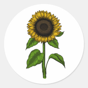 Sunflower Classic Round Sticker