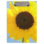 Sunflower Clipboard