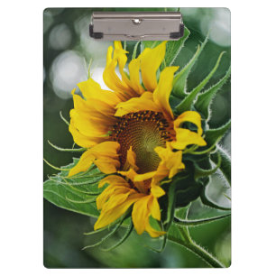 Sunflower Clipboard
