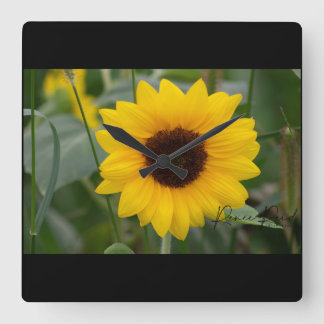 Sunflower Clock
