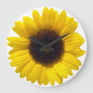 Sunflower Clock