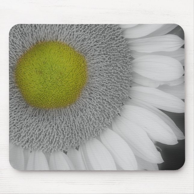 Sunflower Close Up Black And White Mousepad (Front)