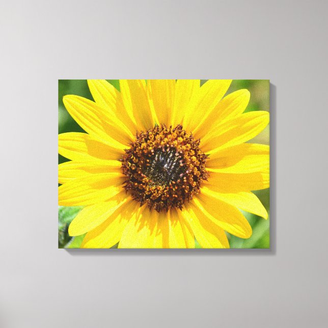 Sunflower Close Up canvas print (Front)