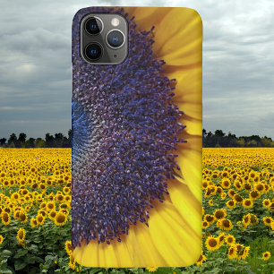 Sunflower Closeup Barely There Phone Case