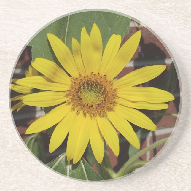 Sunflower Coaster (Front)