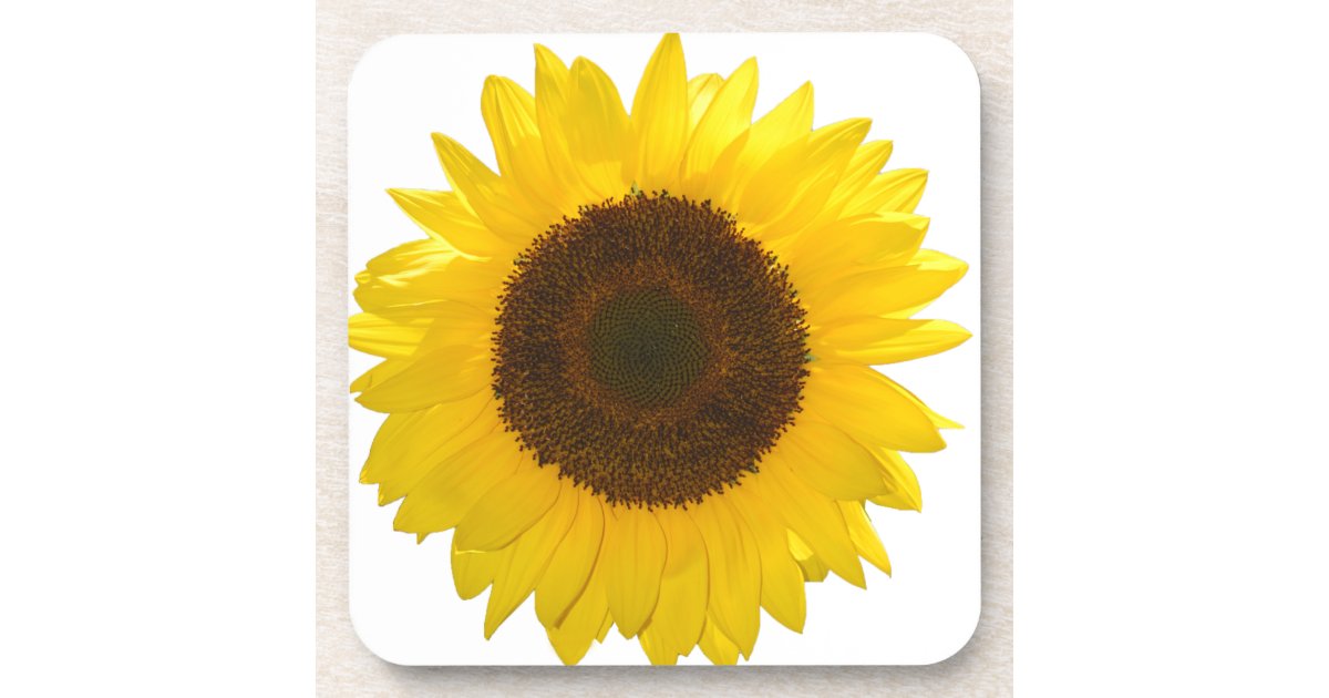 Floral Sunflower Engraved Coaster Set Rustic Wooden Coasters