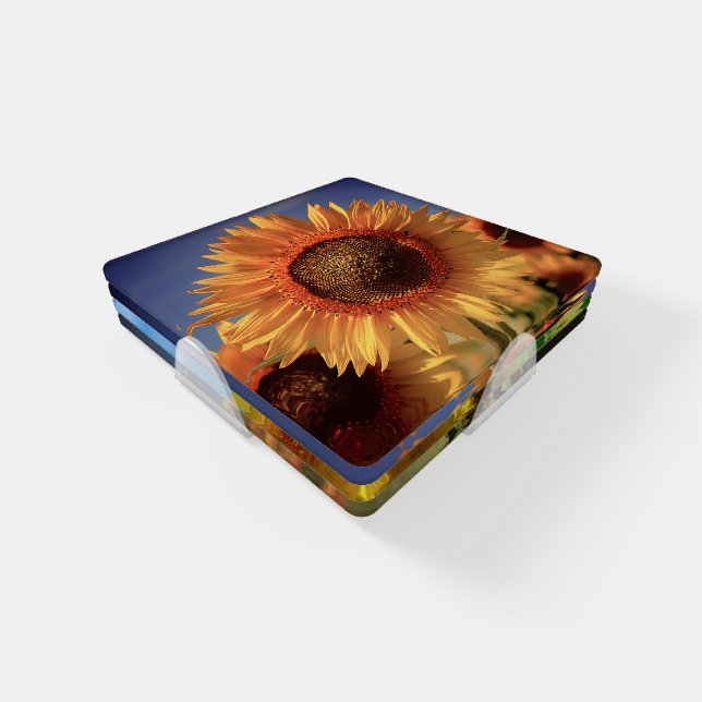 Sunflower Coaster Set (Set)