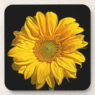 Sunflower coastercna beverage coaster