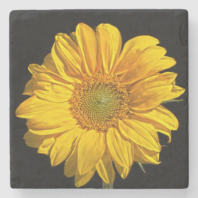 Sunflower coastercna stone coaster (Front)