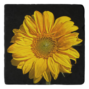 Sunflower coastercnm trivet