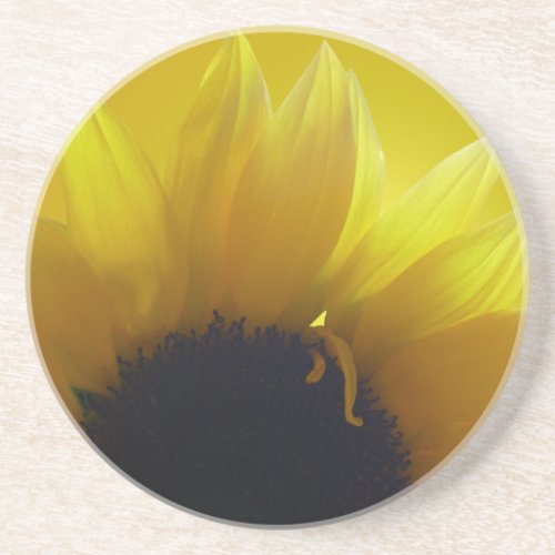 Sunflower Coasters Cheerful Yellow Flower Gifts