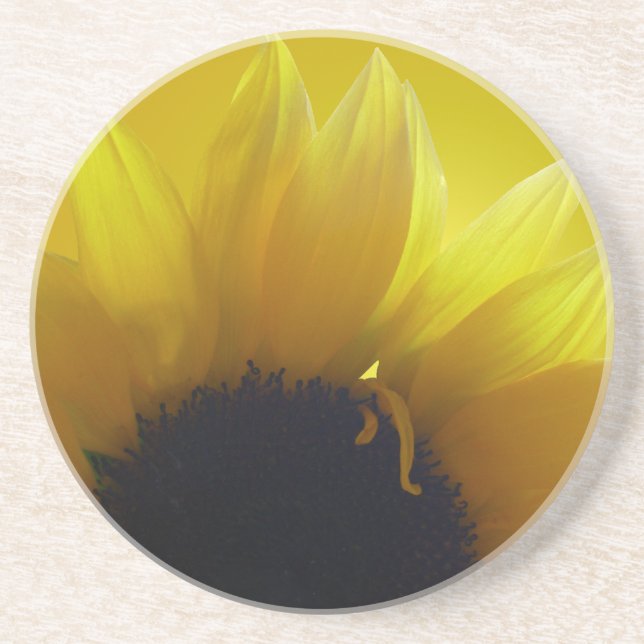 Sunflower Coasters Cheerful Yellow Flower Gifts (Front)