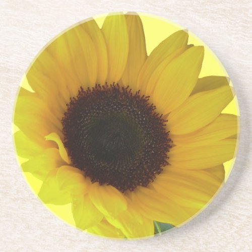 Sunflower Coasters Cheerful Yellow Flower Gifts