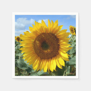 Sunflower Cocktail Paper Napkins