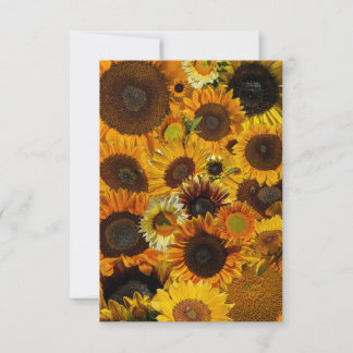 Sunflower Collage  Note Card