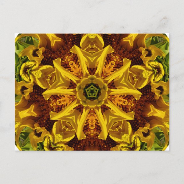 Sunflower collage - Postcard (Front)