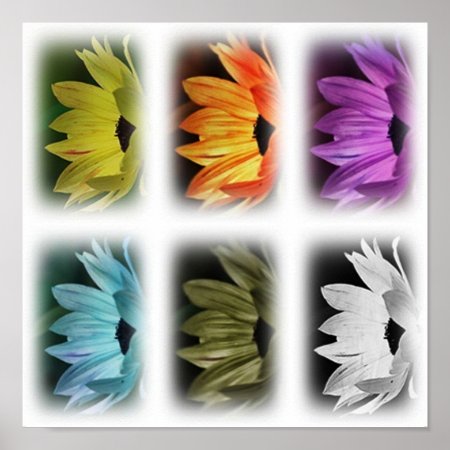 Sunflower Collage Print