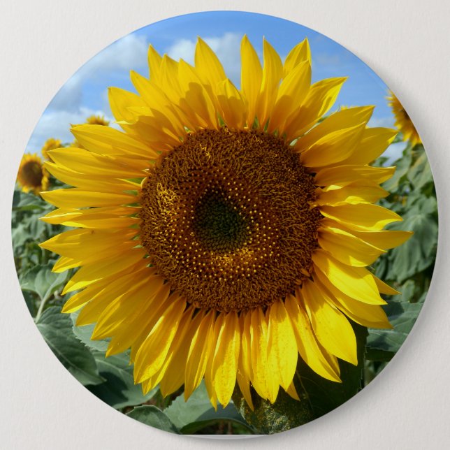 Sunflower Colossal Round Badge Button (Front)
