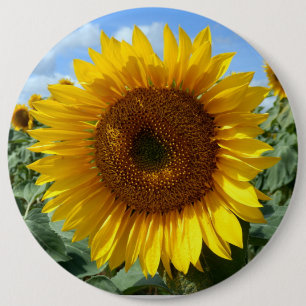 Sunflower Colossal Round Badge Button
