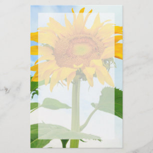Sunflower, community garden, Moses Lake, WA, USA Stationery