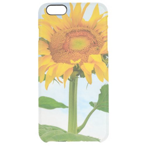 Sunflower community garden Moses Lake WA USA Clear iPhone 6 Plus Case