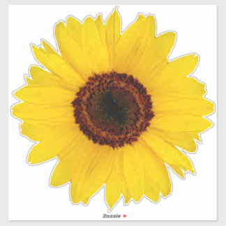 Sunflower Contour Sticker