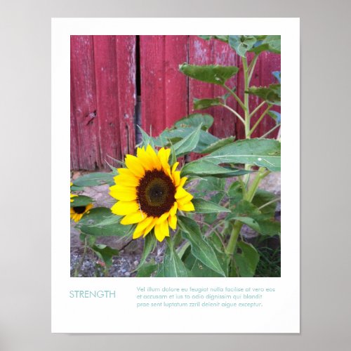 Sunflower Country Photograph  Inspirational Quote Poster