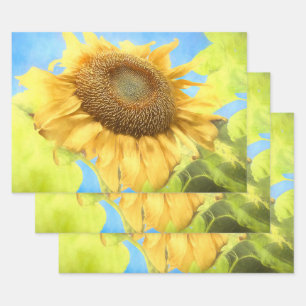 Sunflower Country Rustic Yellow Watercolor Wrapping Paper Sheets