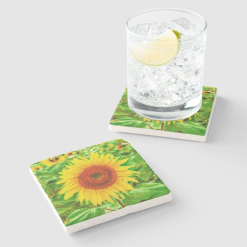 Sunflower Country Yellow Green Rustic Floral Stone Coaster