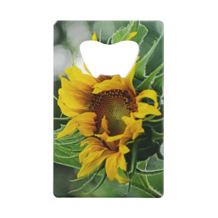 Sunflower Credit Card Bottle Opener