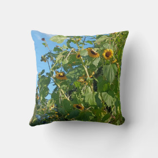 Sunflower Cushion