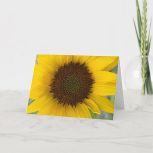 Sunflower Dark Center Card