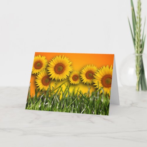 Sunflower Dawn Blank Greeting Card