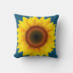 Sunflower Decorative Pillow Rbcd0e7051a854dfcb58723dda285b079 4gu5f 8byvr 255 