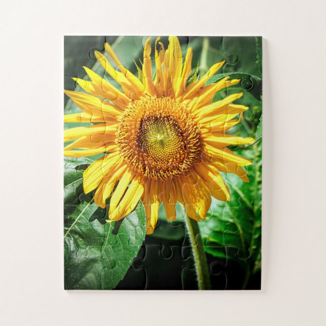Sunflower Delight Jigsaw Puzzle (Vertical)
