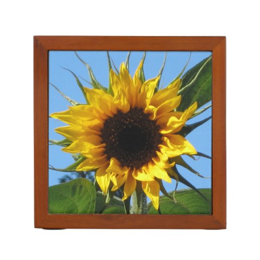 Sunflower - Desk Organiser | Zazzle