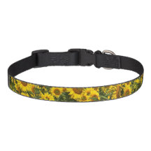 Sunflower Dog Collar