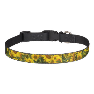Sunflower Dog Collar