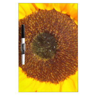 Sunflower Dry-Erase Board
