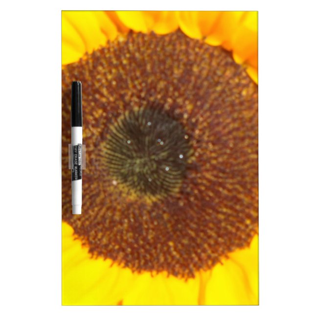 Sunflower Dry-Erase Board (Front)