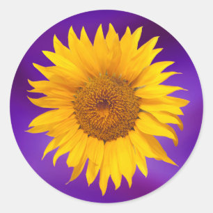Sunflower Elegant Purple Wedding Favor Classic Round Sticker