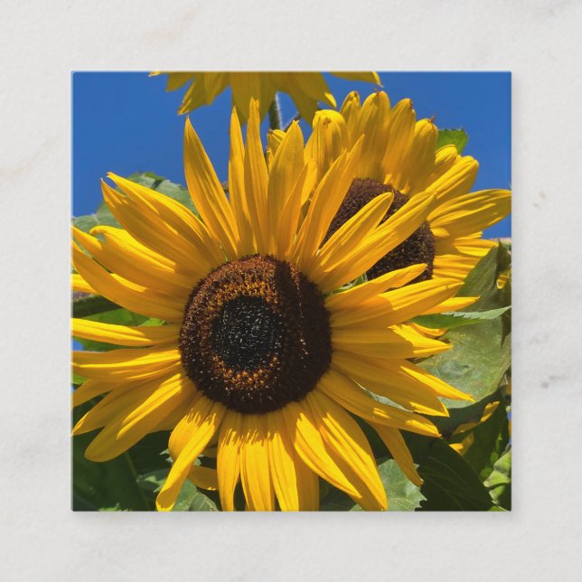 Sunflower Enclosure Card (Front)