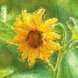 Sunflower Enclosure Card