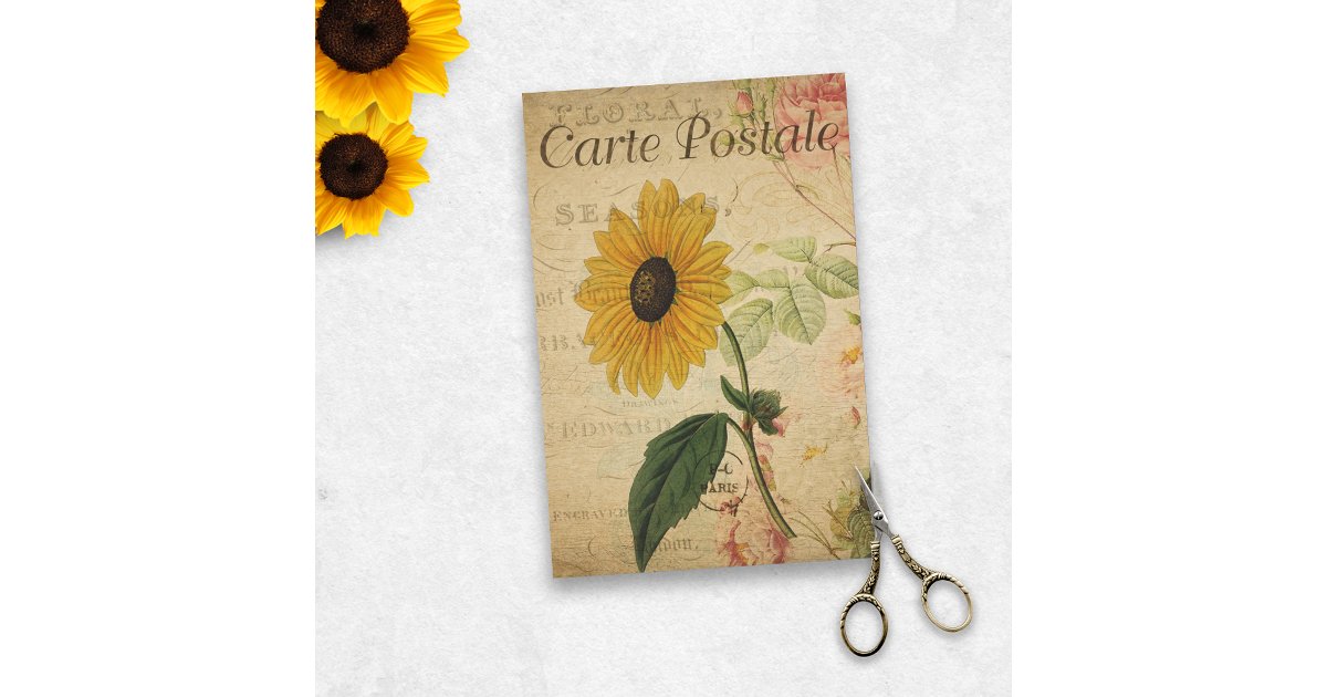 Sunflower Ephemera Vintage Postcard Decoupage Tissue Paper | Zazzle