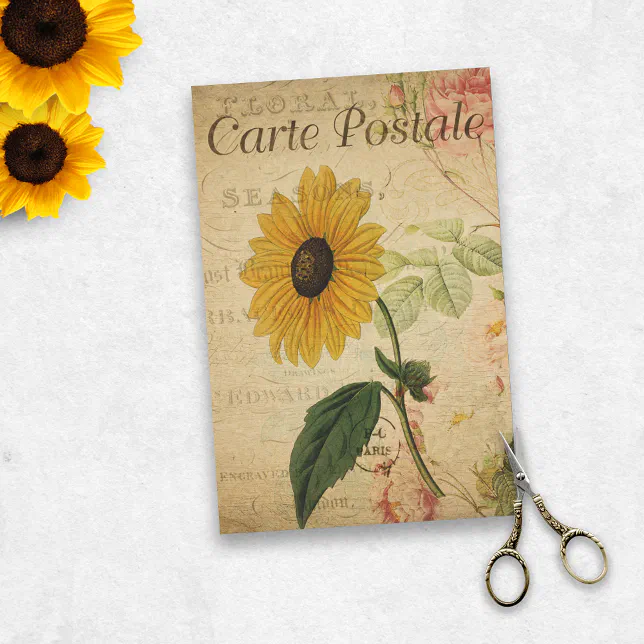 Sunflower Ephemera Vintage Postcard Decoupage Tissue Paper | Zazzle