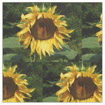 Sunflower Fabric