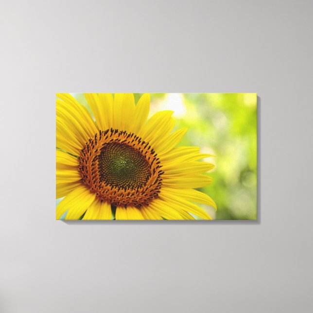 Sunflower facing the sun Wrapped Canvas (Front)