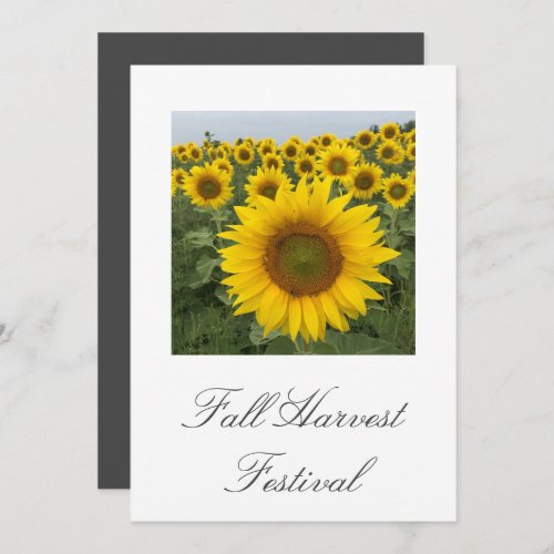 Sunflower Fall Harvest Festival  Invitation