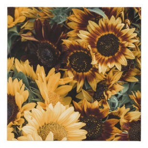 SUNFLOWER FAUX CANVAS PRINT