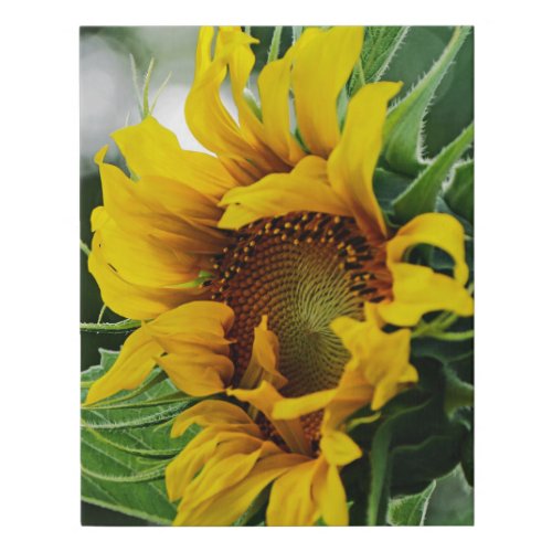 Sunflower Faux Canvas Print